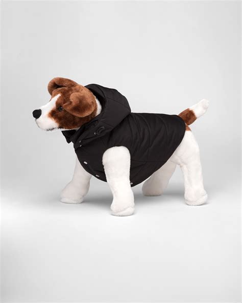 prada puffer dog coat|conscious prada puffer jacket.